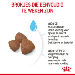 Royal Canin Medium Starter Mother & Babydog - Hondenvoer 19 Royal Canin Medium Starter Mother & Babydog - Hondenvoer -Selecteer Dierenwinkels royal canin medium starter mother babydog hondenvoer 206912 2000 none