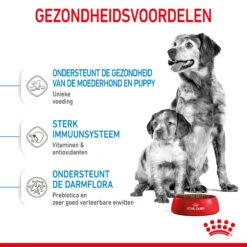 Royal Canin Medium Starter Mother & Babydog - Hondenvoer 18 Royal Canin Medium Starter Mother & Babydog - Hondenvoer -Selecteer Dierenwinkels royal canin medium starter mother babydog hondenvoer 206915 2000 none