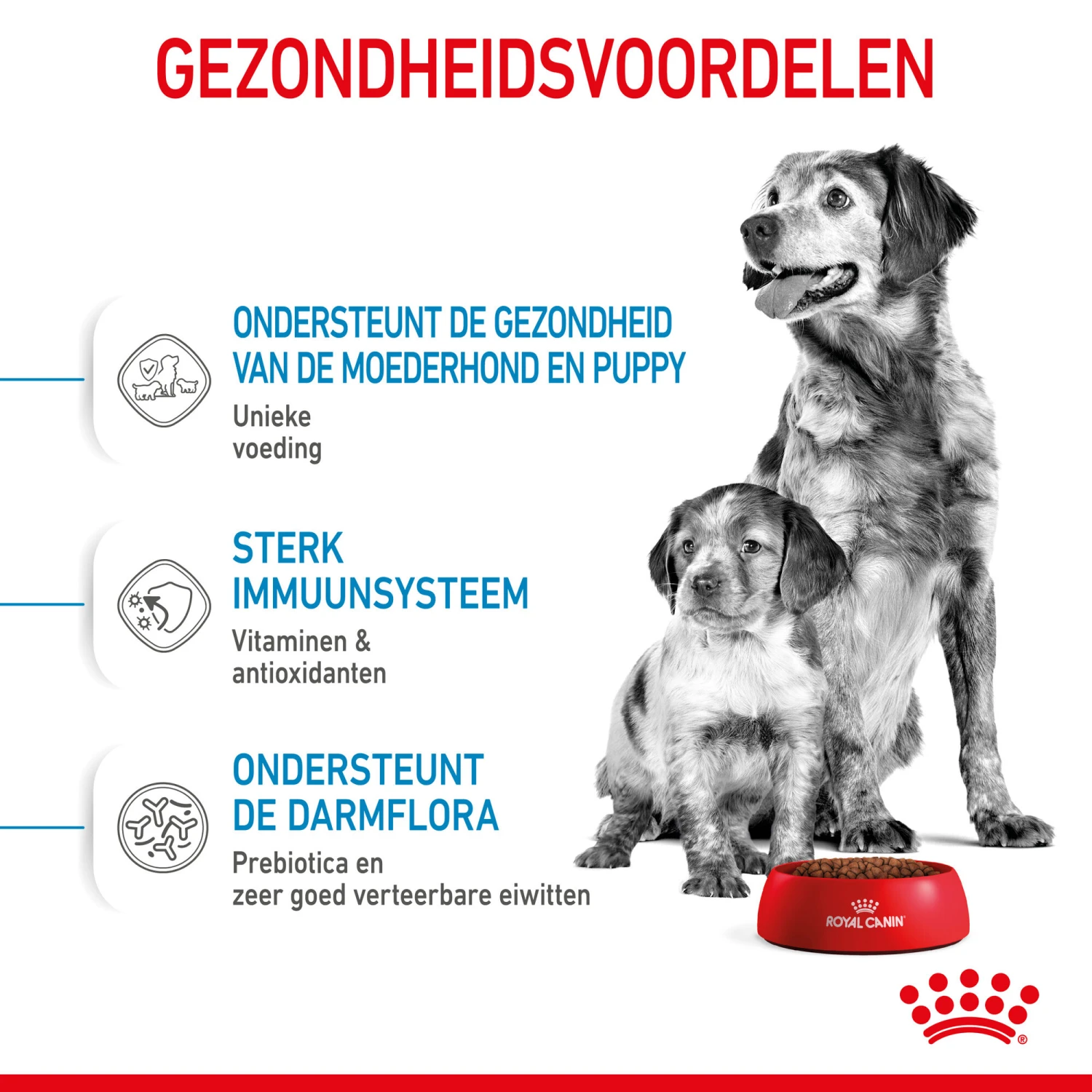 Royal Canin Medium Starter Mother & Babydog - Hondenvoer 8 Royal Canin Medium Starter Mother & Babydog - Hondenvoer - Afbeelding 6