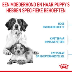 Royal Canin Medium Starter Mother & Babydog - Hondenvoer 17 Royal Canin Medium Starter Mother & Babydog - Hondenvoer -Selecteer Dierenwinkels royal canin medium starter mother babydog hondenvoer 206918 2000 none
