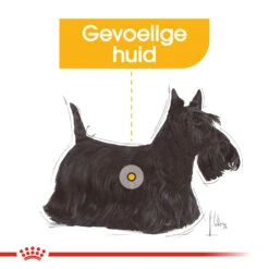 Royal Canin Dermacomfort Mini - Hondenvoer -Selecteer Dierenwinkels royal canin mini dermacomfort hondenvoer 132983 1000 none