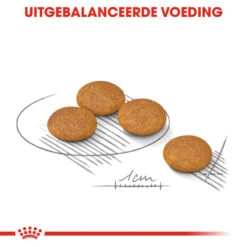 Royal Canin Dermacomfort Mini - Hondenvoer -Selecteer Dierenwinkels royal canin mini dermacomfort hondenvoer 133001 1000 none
