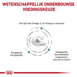 Royal Canin Skin & Coat -Selecteer Dierenwinkels royal canin skin coat 153328 1000 none