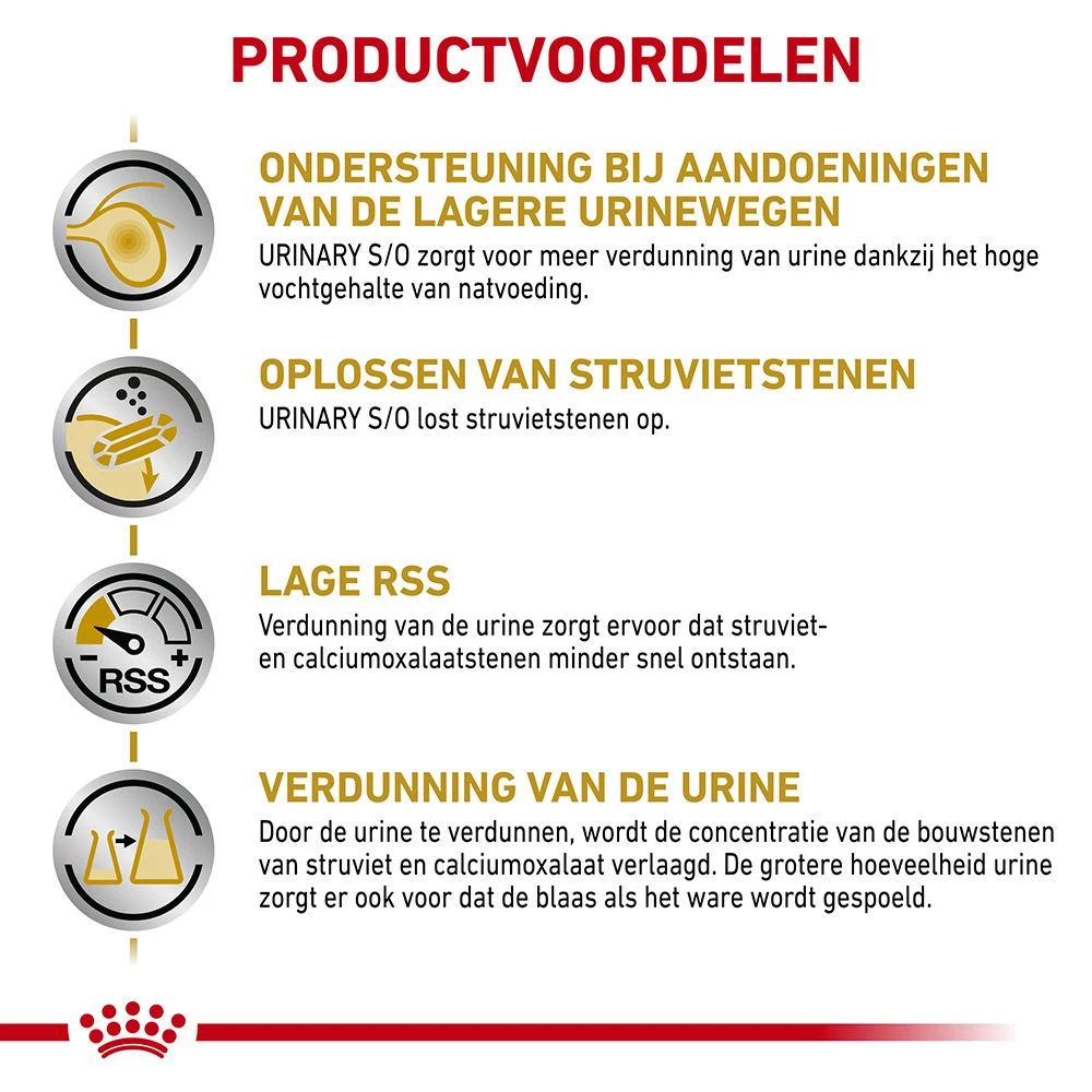 Royal Canin Skin & Coat Wet 7 Royal Canin Skin & Coat Wet - Afbeelding 5