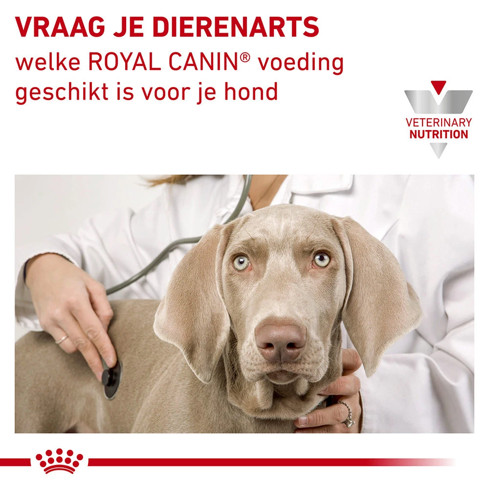 Royal Canin S/O Urinary Ageing 7+ Wet Hond - Image 7