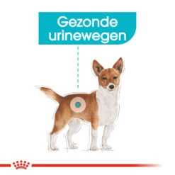 Royal Canin Urinary Care Wet - Hondenvoer 15 Royal Canin Urinary Care Wet - Hondenvoer -Selecteer Dierenwinkels royal canin urinary care wet hondenvoer 131930 1000 none