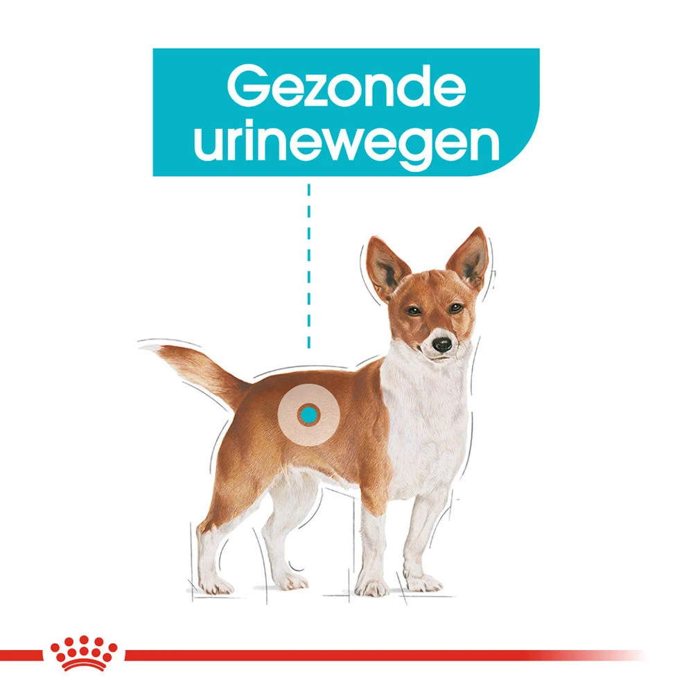 Royal Canin Urinary Care Wet - Hondenvoer 6 Royal Canin Urinary Care Wet - Hondenvoer - Image 4