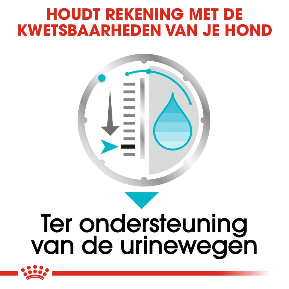 Royal Canin Urinary Care Wet - Hondenvoer 7 Royal Canin Urinary Care Wet - Hondenvoer - Image 5