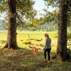 Ruffwear Knot-a-Hitch -Selecteer Dierenwinkels ruffwear knot a hitch 124643 0500 none