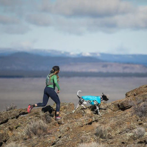 Ruffwear Wind Sprinter Jacket 11 Ruffwear Wind Sprinter Jacket - Image 9