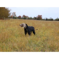 RukkaPets Protect Overall Zwart -Selecteer Dierenwinkels rukkapets protect overall zwart 216401 2000 none