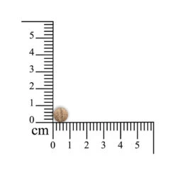 Sensipharm Sneeze Aid Kat -Selecteer Dierenwinkels sensipharm sneeze aid kat 174685 1000 none