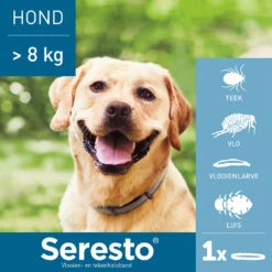 Seresto Hond -Selecteer Dierenwinkels seresto hond 180928 1000 none