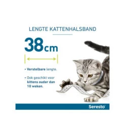 Seresto Kat -Selecteer Dierenwinkels seresto kat 174148 0500 none