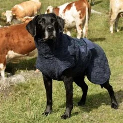 Siccaro WetDog SupremePro 2.0 -Selecteer Dierenwinkels siccaro wetdog supremepro 190159 1000 none