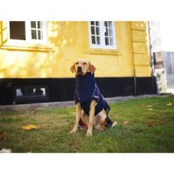 Siccaro WetDog SupremePro 2.0 -Selecteer Dierenwinkels siccaro wetdog supremepro 20 216994 2000 none