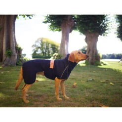 Siccaro WetDog SupremePro 2.0 -Selecteer Dierenwinkels siccaro wetdog supremepro 20 216995 2000 none