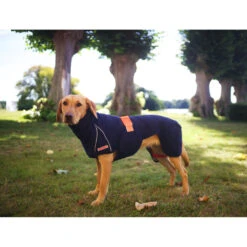 Siccaro WetDog SupremePro 2.0 -Selecteer Dierenwinkels siccaro wetdog supremepro 20 216996 2000 none