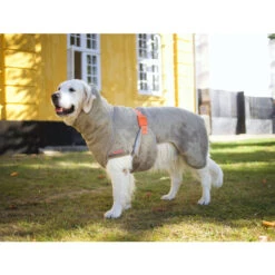 Siccaro WetDog SupremePro 2.0 -Selecteer Dierenwinkels siccaro wetdog supremepro 20 216997 2000 none