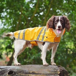 Sötnos Hondenregenjas -Selecteer Dierenwinkels stnos hondenregenjas 130475 0500 none