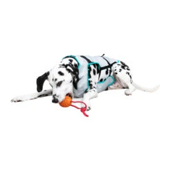 Suitical DRY Cooling Vest 21 Suitical DRY Cooling Vest -Selecteer Dierenwinkels suitical dry cooling vest 149882 2000 none