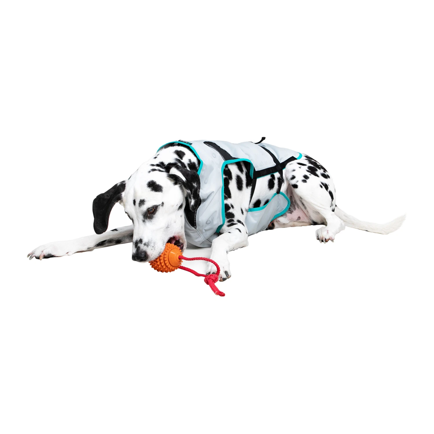 Suitical DRY Cooling Vest 10 Suitical DRY Cooling Vest - Image 8