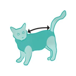 Suitical Recovery Suit Kat -Selecteer Dierenwinkels suitical recovery suit kat 202523 0500 none