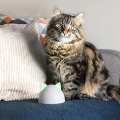 Sureflap Sure Petcare Hub -Selecteer Dierenwinkels sure petcare hub 219855 2000 none