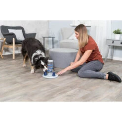 Trixie Dog Activity Gambling Tower -Selecteer Dierenwinkels trixie dog activity gambling tower 179852 2000 none