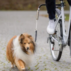 Trixie Fiets-Set -Selecteer Dierenwinkels trixie fiets set 178264 1000 none