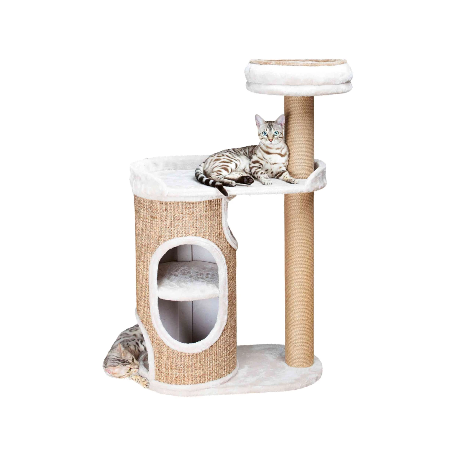 Trixie Krabpaal Falco 5 Trixie Krabpaal Falco - Image 3