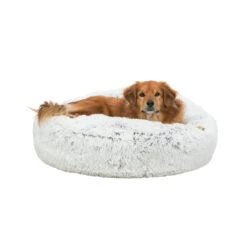 Trixie Kussen Harvey 14 Trixie Kussen Harvey -Selecteer Dierenwinkels trixie kussen harvey 170536 2000 none