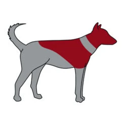 Trixie Opblaasbare Beschermkraag -Selecteer Dierenwinkels trixie opblaasbare beschermkraag 101866 0500 none