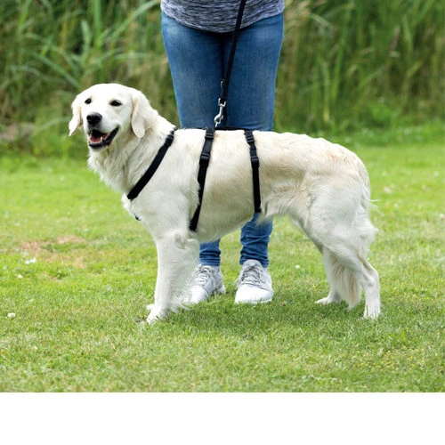 Trixie Stay Hondentuig 9 Trixie Stay Hondentuig - Image 7