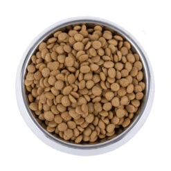 Vetality Skin Support - Hondenvoer -Selecteer Dierenwinkels vetality skin support hondenvoer 195221 1000 none