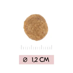 Vetality Skin Support - Hondenvoer -Selecteer Dierenwinkels vetality skin support hondenvoer 195452 1000 none