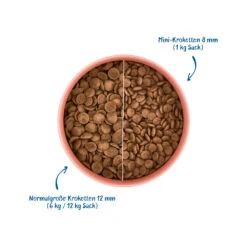 WOW! Senior Hondenvoer 10 WOW! Senior Hondenvoer -Selecteer Dierenwinkels wow droogvoer senior eend met munt 208937 1000 none