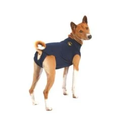 Medical Pet Shirt Hond 32 Medical Pet Shirt Hond -Selecteer Dierenwinkels xPuDXIGJ8BUF7KNct4dTau2Ls058PG metaYzY5MjU1OWNiMjdkMjQ4YTBkODUyNGFkZWQ4MzM5NDgzZjhkNDFmOGJkN2ZmMmU1MzNjZmYwODUxN2VhNDUxYV8zLmpwZWc