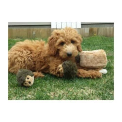 ZippyPaws Zippy Burrow Hedgehog Den -Selecteer Dierenwinkels zippypaws zippy burrow hedgehog den 221069 0500 none